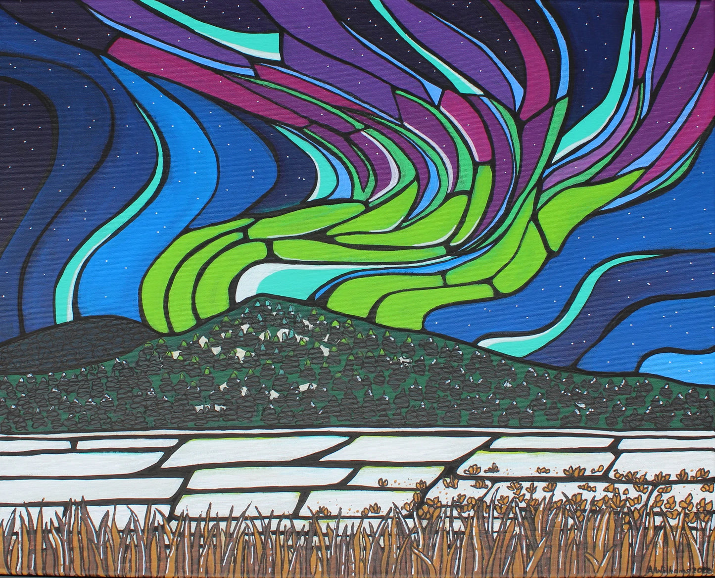 Northern Lights over Echo Bay
