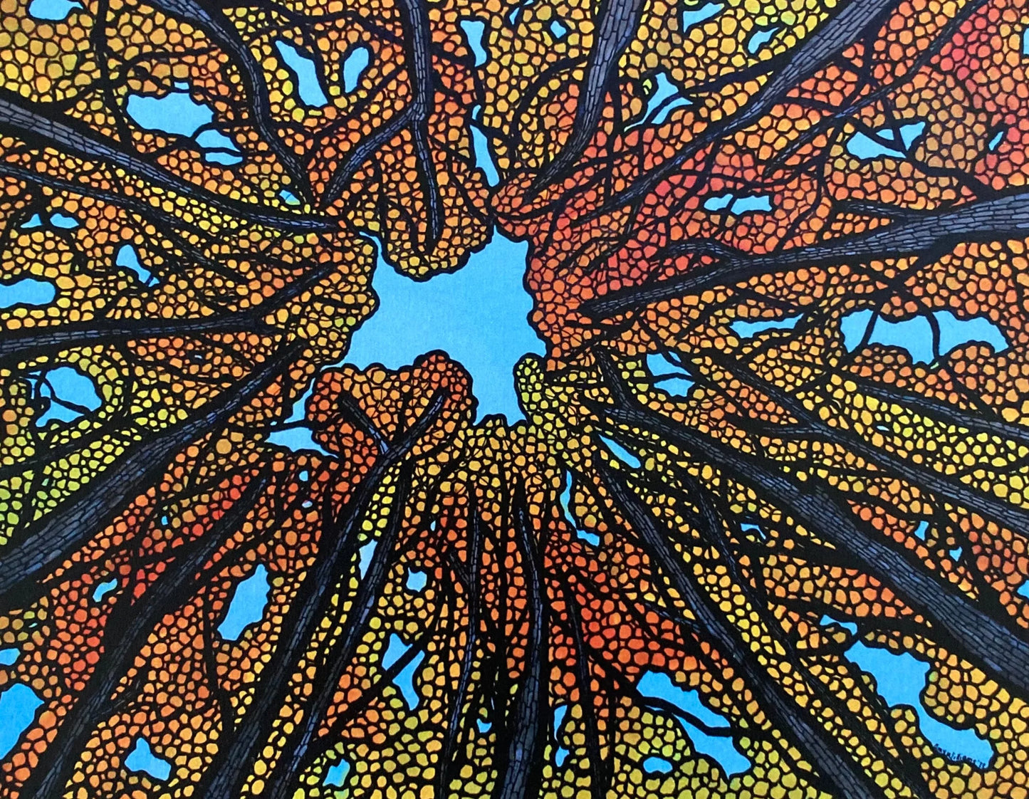 From the Forest Floor